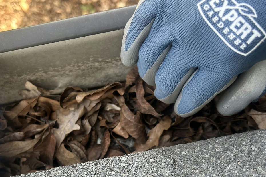 Kinderhook Gutter Cleaning