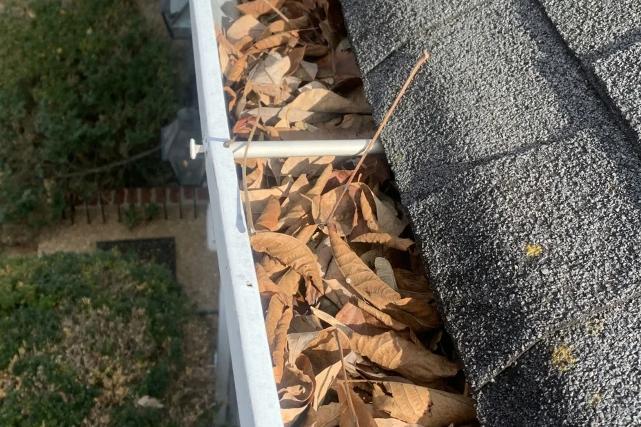 Kinderhook Gutter Cleaning