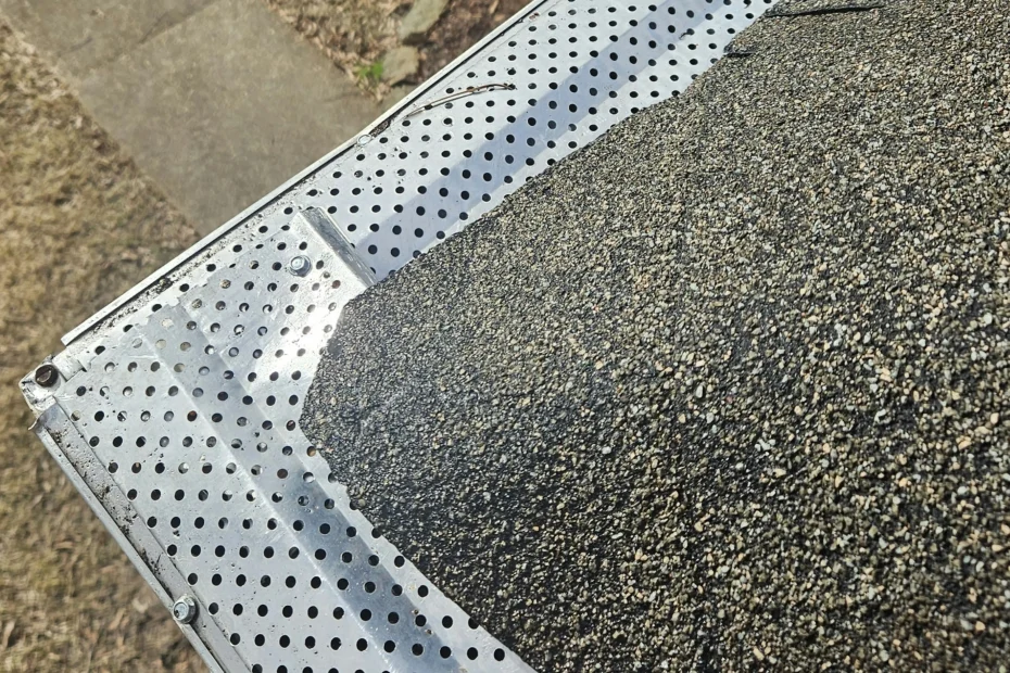 Kinderhook Gutter Cleaning