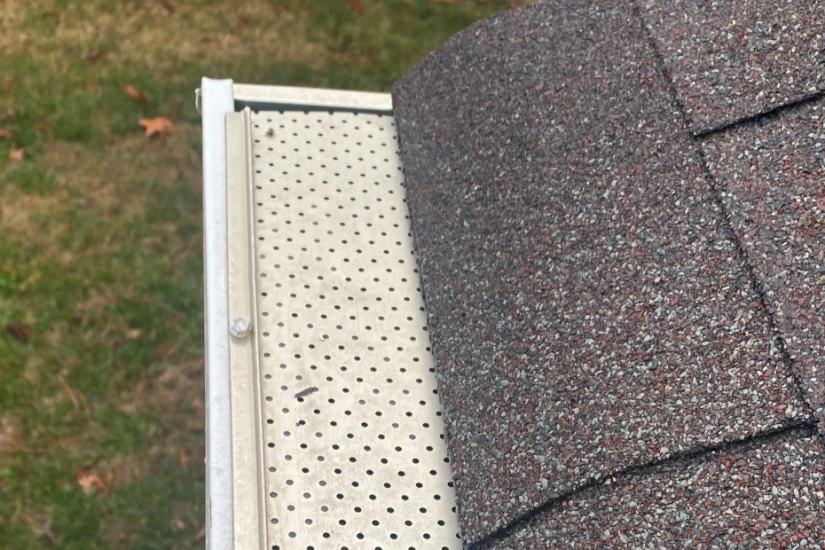 Kinderhook Gutter Cleaning